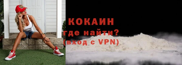гашик Аркадак