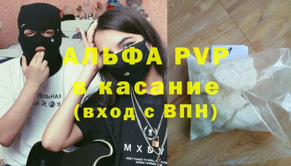 гашик Аркадак