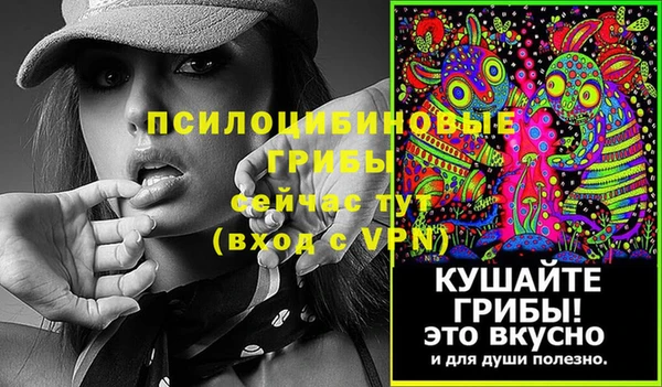 гашик Аркадак